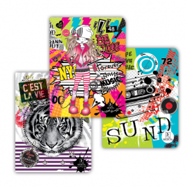 image Cahier N°12 Seyes 17 X 22 - Selecta 025