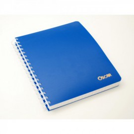image Cahier Wireo Pm 300P 17X22 - Oscar
