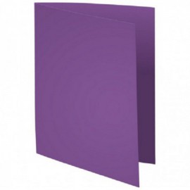 image Chemise Bristol Cartonnee Pq 100 Mauve