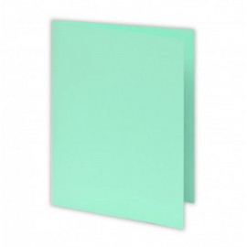 image Chemise Bristol Cartonnee Vert Pastel Pq 100