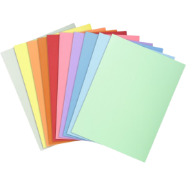 image Chemise Cartonnee 4 Couleurs - Assorties Rbt