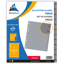 image Jeu De 12 Intercalaires Mensuel A4 En Pp Greysplit - Gris